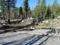 YosemiteCreek 037 : YosemiteCreek